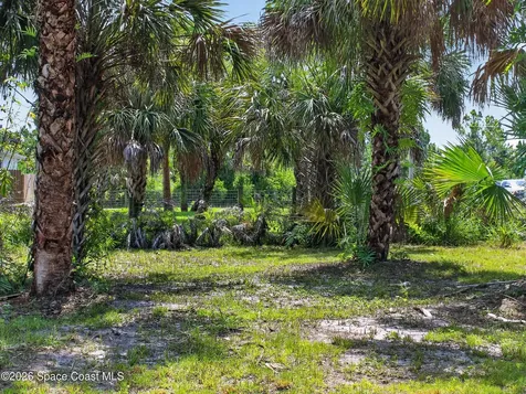 2859 Basil Avenue SW Palm Bay FL 32908