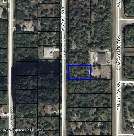 2859 Basil Avenue SW Palm Bay FL 32908