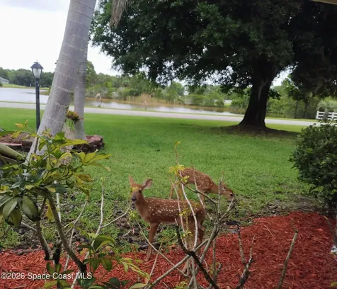4500 Hunters Run Circle Grant FL 32949