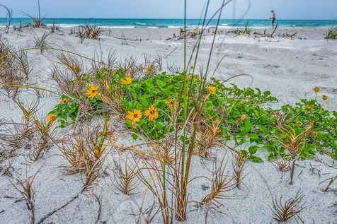 210 Cassia Boulevard Satellite Beach FL 32937