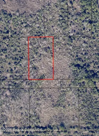 No Access W. Of Date Palm St (2 Parcels) Cocoa FL 32927