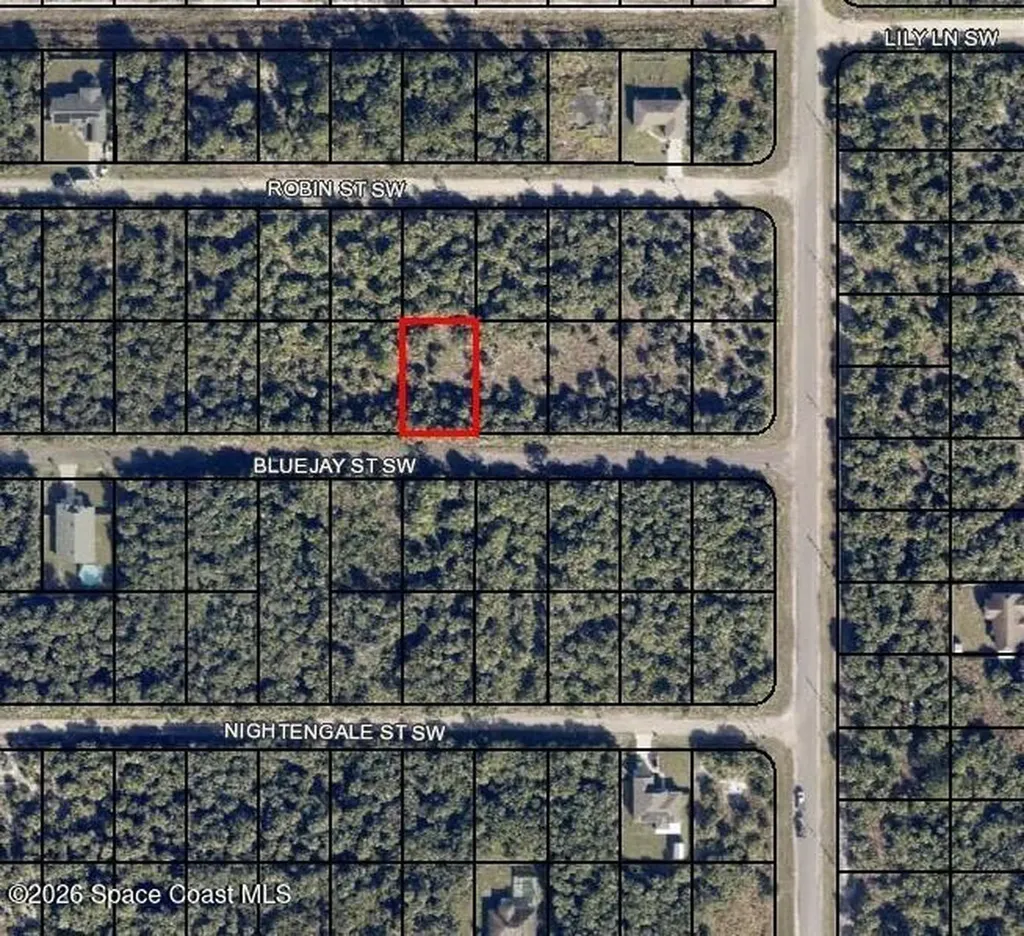 839 Bluejay Street SW Palm Bay FL 32908