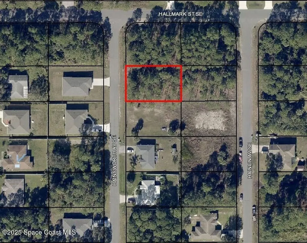 3207 Hainsworth Avenue SE Palm Bay FL 32909