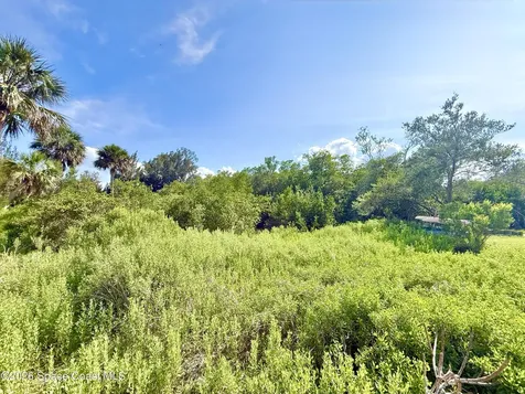 4 Grant Island Grant-valkaria FL 32949