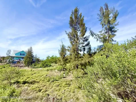 4 Grant Island Grant-valkaria FL 32949