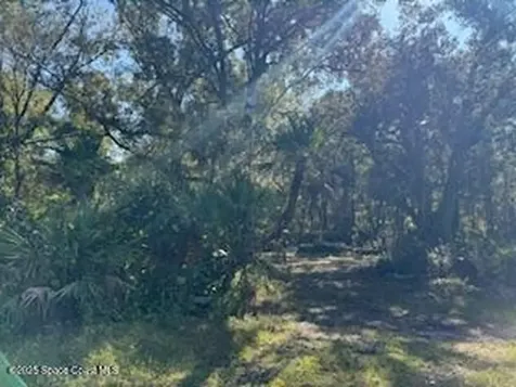 905 Baron Road Orlando FL 32828