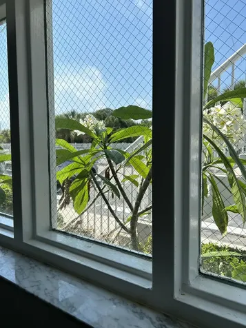 441 Ocean Park Lane Cape Canaveral FL 32920