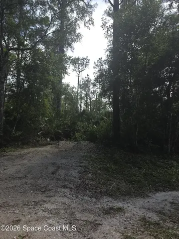 0000 Spanks Street Mims FL 32754