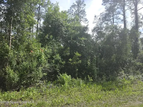 0000 Spanks Street Mims FL 32754