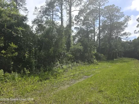 0000 Spanks Street Mims FL 32754