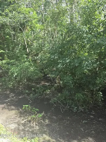 0000 Harrison Road Mims FL 32754