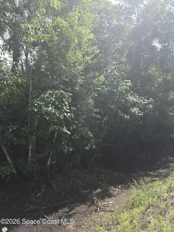 0000 Harrison Road Mims FL 32754