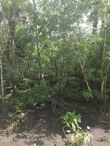 0000 Harrison Road Mims FL 32754