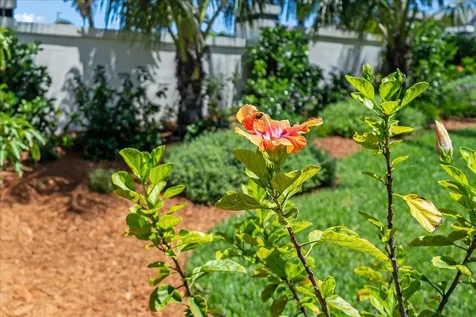 201 Loggerhead Drive Melbourne Beach FL 32951