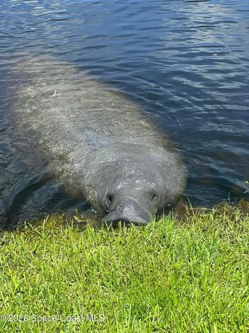 589 Hillside Court Melbourne FL 32935