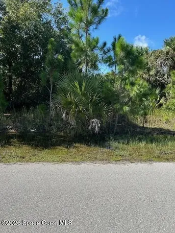 474 Gantry Street SW Palm Bay FL 32908