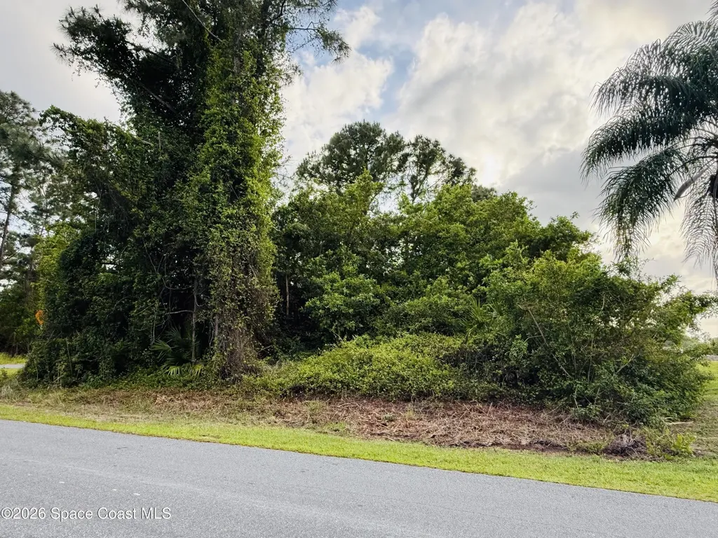0000 Thames Street SE Palm Bay FL 32909
