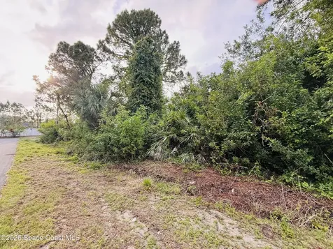 0000 Thames Street SE Palm Bay FL 32909
