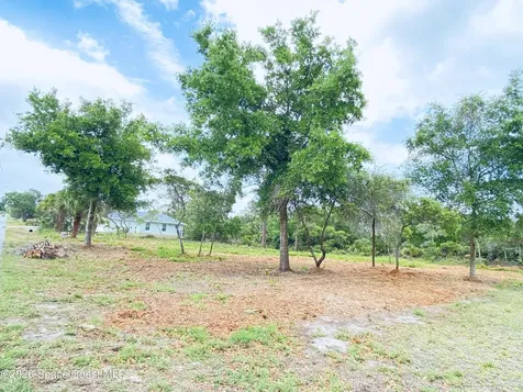 9737 Honeysuckle Drive Micco FL 32976