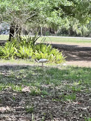 1563 Hamilton Avenue SW Palm Bay FL 32908