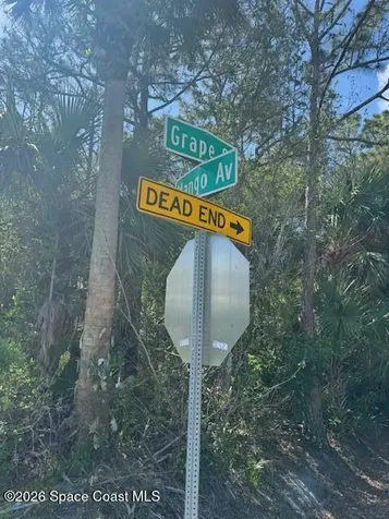 0 Grape And Mango Street Cocoa FL 32926