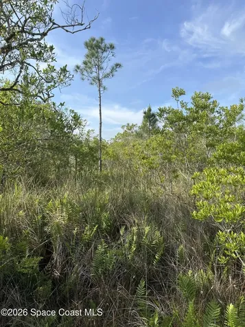 0 Unknown Avenue Cocoa FL 32926