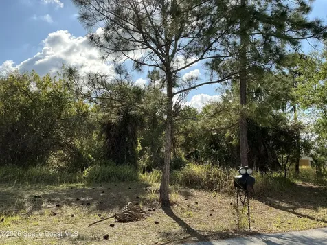 1741 Hamilton Avenue SW Palm Bay FL 32908