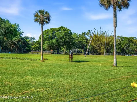 479 Maytown Road Oak Hill FL 32759