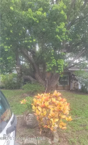 1765 Thomas Street Titusville FL 32780
