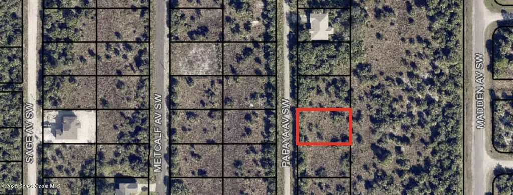 3159 Papaya Avenue Palm Bay FL 32909