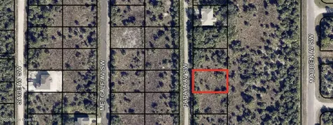 3159 Papaya Avenue Palm Bay FL 32909