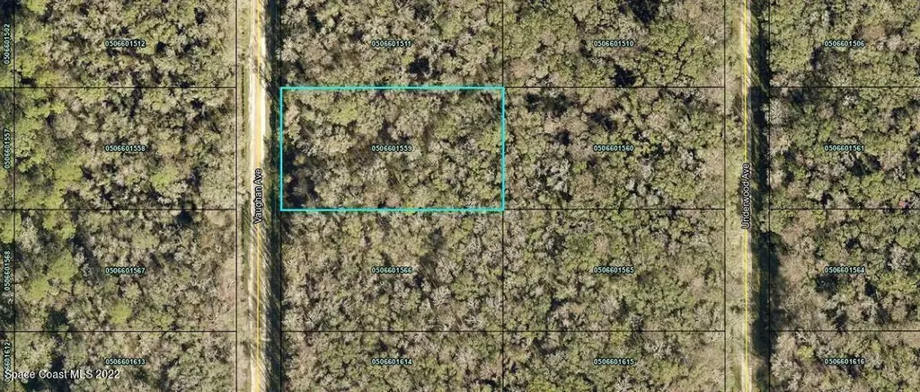 10620 Vaughan Avenue Hastings FL 32145