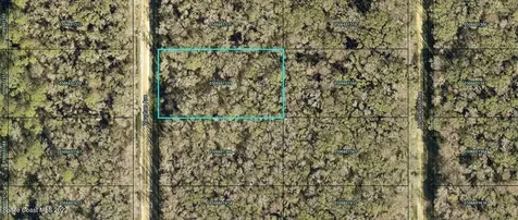10620 Vaughan Avenue Hastings FL 32145