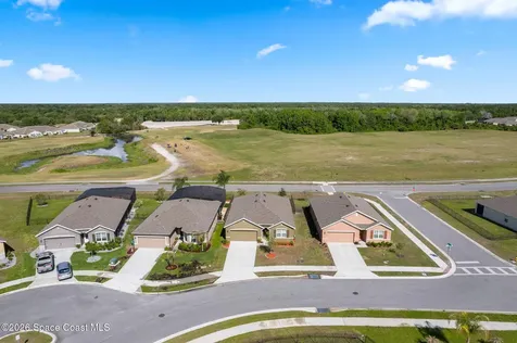 3120 Burrowing Owl Drive Mims FL 32754