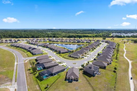 3120 Burrowing Owl Drive Mims FL 32754
