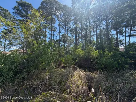 2515 Stillwater Lakes Drive SW Palm Bay FL 32908