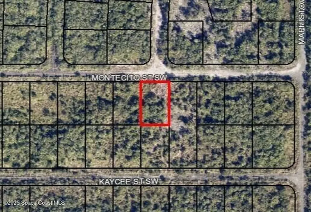 1440 Montecito Street SW Palm Bay FL 32908