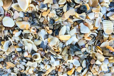 1630 Pine Street Melbourne Beach FL 32951
