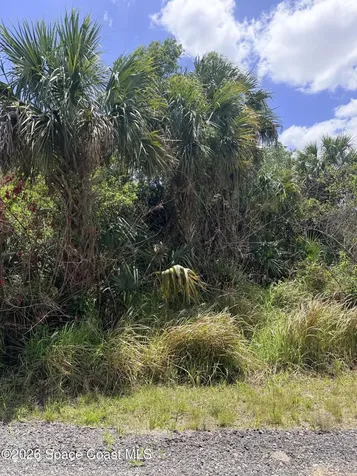 708 Parrotfish Street SW Palm Bay FL 32908