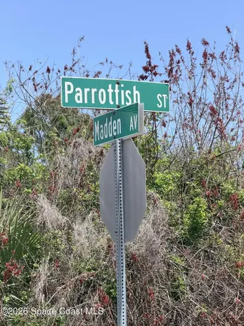 708 Parrotfish Street SW Palm Bay FL 32908