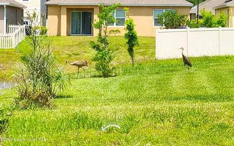 422 Moray Drive Palm Bay FL 32908