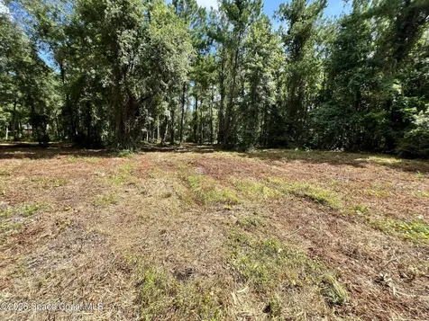 1239, 41, 43 County Road 309 Crescent City FL 32112