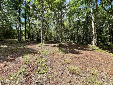 1239, 41, 43 County Road 309 Crescent City FL 32112