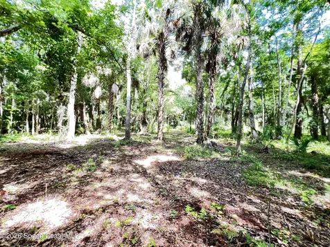 1239, 41, 43 County Road 309 Crescent City FL 32112
