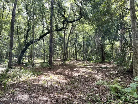 1239, 41, 43 County Road 309 Crescent City FL 32112