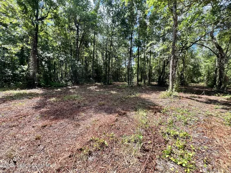 1239, 41, 43 County Road 309 Crescent City FL 32112
