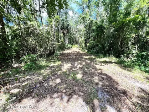 1239, 41, 43 County Road 309 Crescent City FL 32112