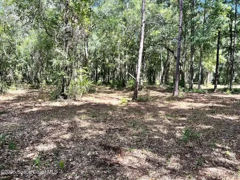 1239, 41, 43 County Road 309 Crescent City FL 32112