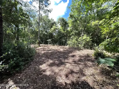 1239, 41, 43 County Road 309 Crescent City FL 32112