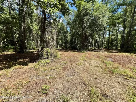 1239, 41, 43 County Road 309 Crescent City FL 32112